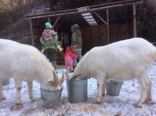 51670488_264035251191595_1950917705125068800_n